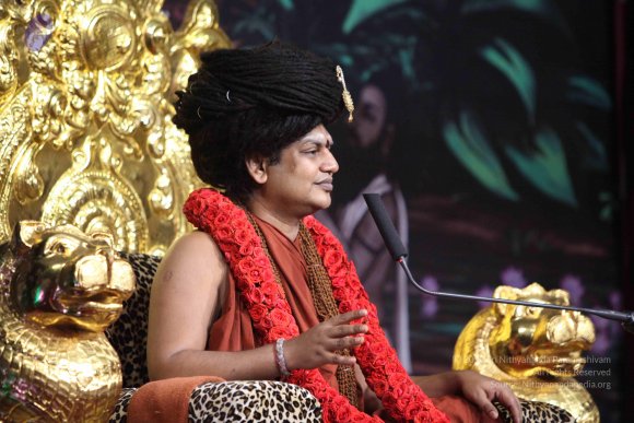 20160301_Photo_1032_IMG_8523_CMP_WM