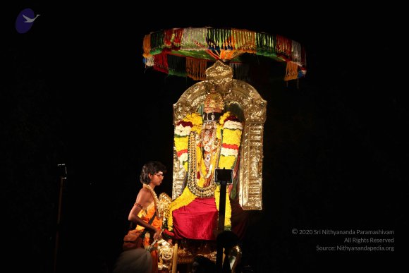 20160302_Photo_1002_IMG_8642_CMP_WM