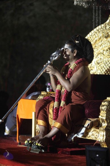 20160302_Photo_1032_IMG_8803_CMP_WM