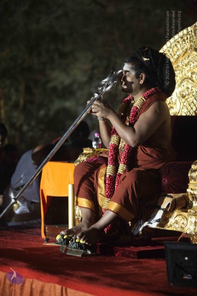 20160302_Photo_1033_IMG_8804_CMP_WM