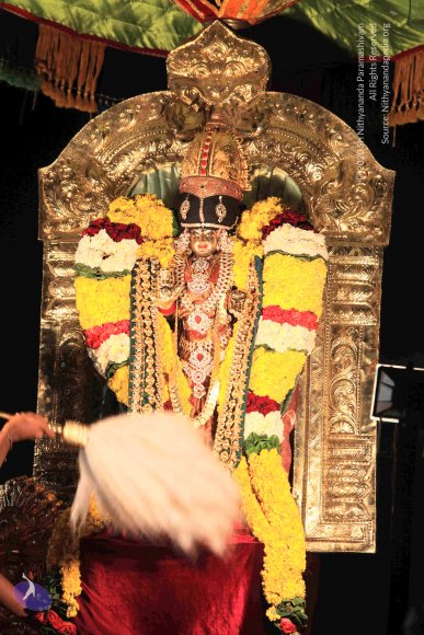 20160302_Photo_1039_IMG_8821_CMP_WM