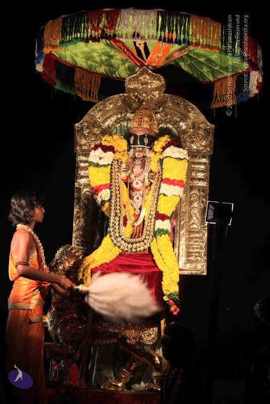 20160302_Photo_1040_IMG_8822_CMP_WM