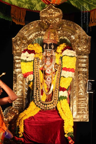 20160302_Photo_1042_IMG_8824_CMP_WM