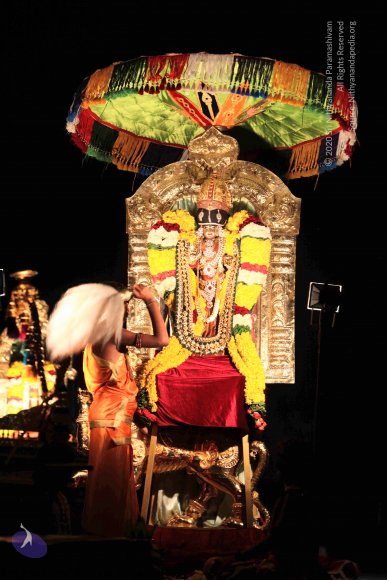 20160302_Photo_1043_IMG_8830_CMP_WM