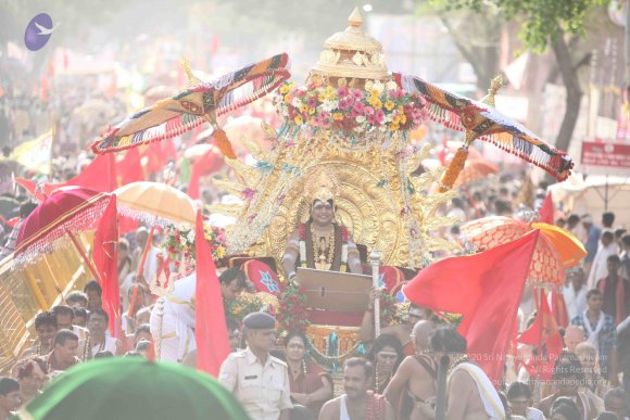 20160521_Photo_1182_IMG_0262_CMP_WM