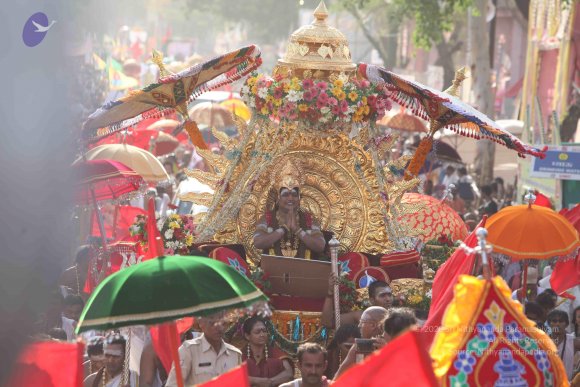 20160521_Photo_1185_IMG_0265_CMP_WM