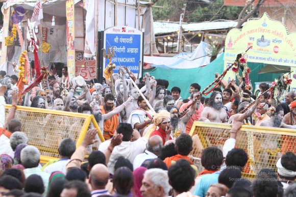 20160521_Photo_1383_IMG_8447_CMP_WM