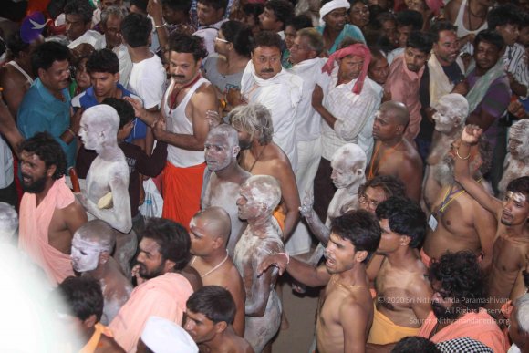 20160521_Photo_1528_IMG_8876_CMP_WM