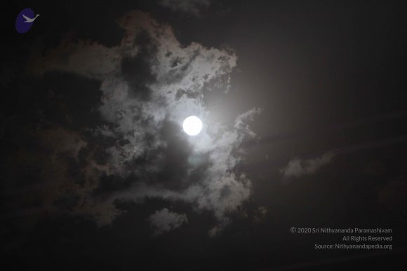 20160521_Photo_1538_IMG_8888_CMP_WM