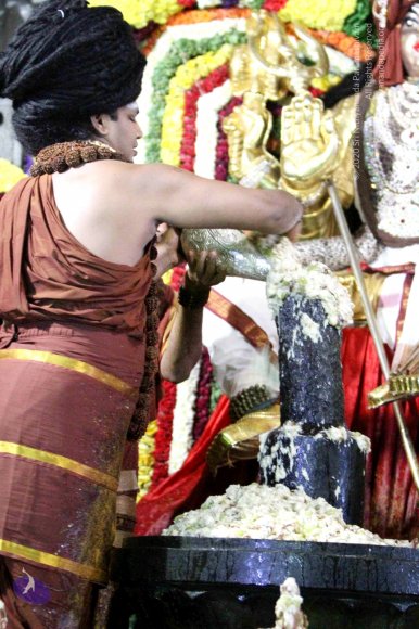 20160307_Photo_1007_IMG_0137_CMP_WM