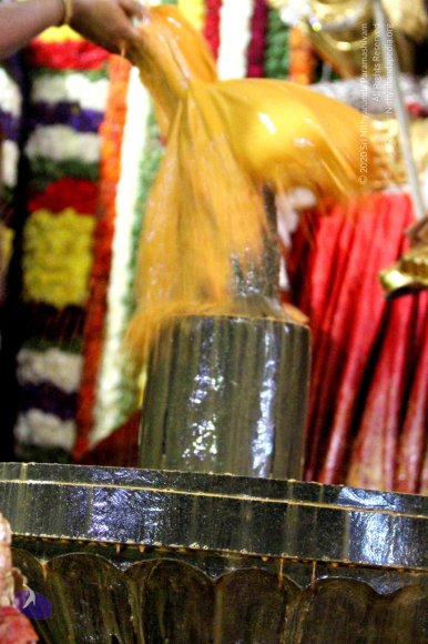 20160307_Photo_1013_IMG_0156_CMP_WM