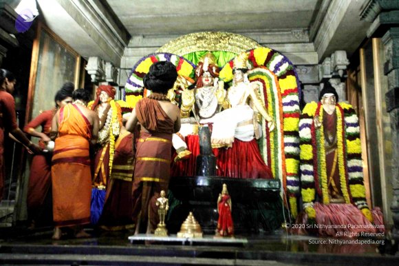 20160307_Photo_1017_IMG_2510_CMP_WM