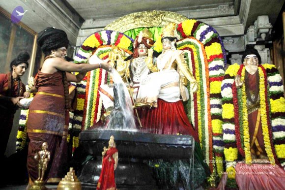 20160307_Photo_1020_IMG_2552_CMP_WM