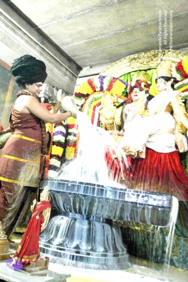 20160307_Photo_1029_IMG_2658_CMP_WM