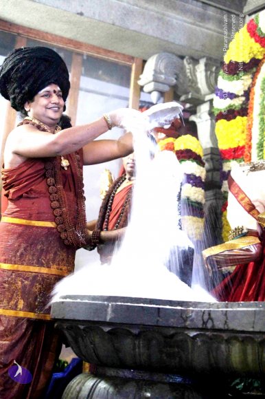 20160307_Photo_1056_IMG_2837_CMP_WM