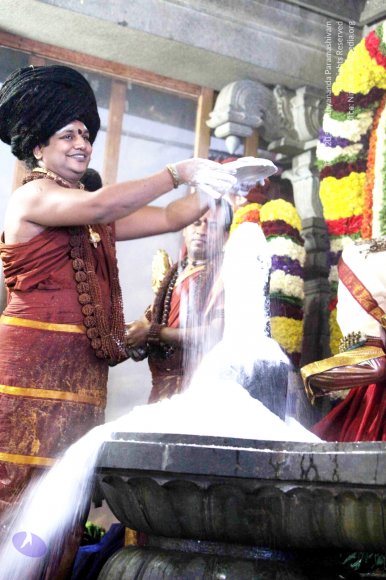 20160307_Photo_1057_IMG_2838_CMP_WM