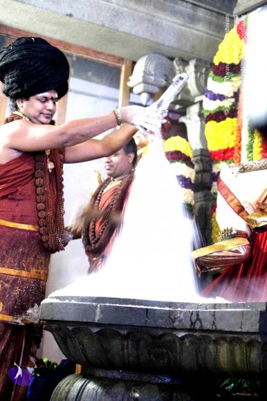 20160307_Photo_1060_IMG_2841_CMP_WM