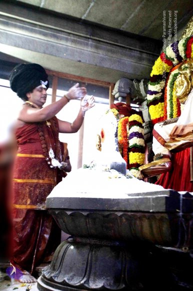 20160307_Photo_1071_IMG_2919_CMP_WM