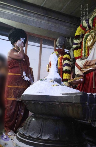 20160307_Photo_1073_IMG_2921_CMP_WM