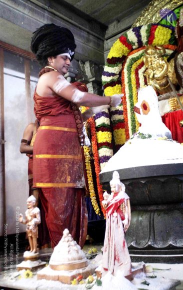 20160307_Photo_1075_IMG_2938_CMP_WM