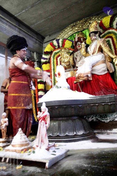 20160307_Photo_1077_IMG_2940_CMP_WM