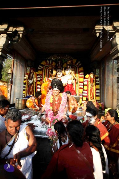 20160307_Photo_1050_IMG_3387_CMP_WM