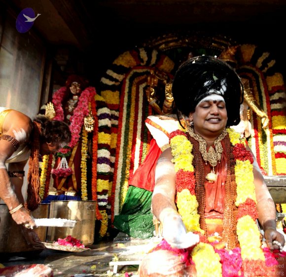 20160307_Photo_1053_IMG_3491_CMP_WM