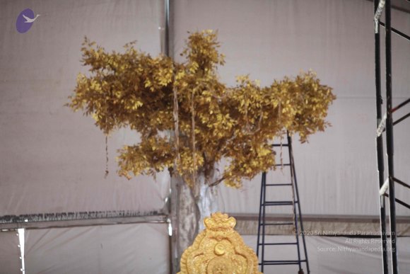 20160528_Photo_1011_IMG_2760_CMP_WM