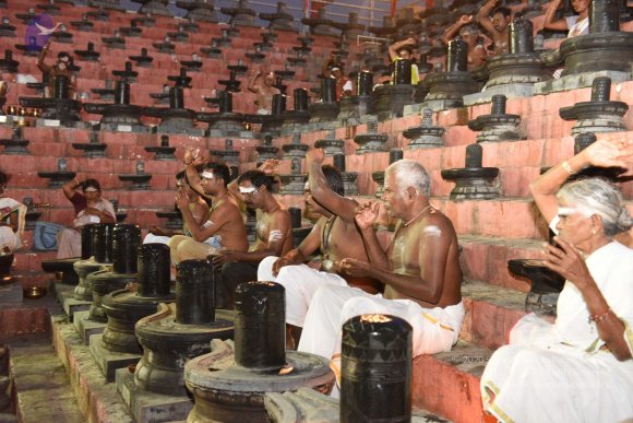 20161114_Photo_1002_DSC_7115_CMP_WM