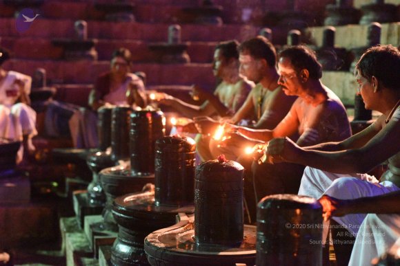 20161114_Photo_1014_DSC_7184_CMP_WM