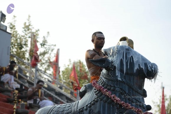 DSC_8644_CMP_WM