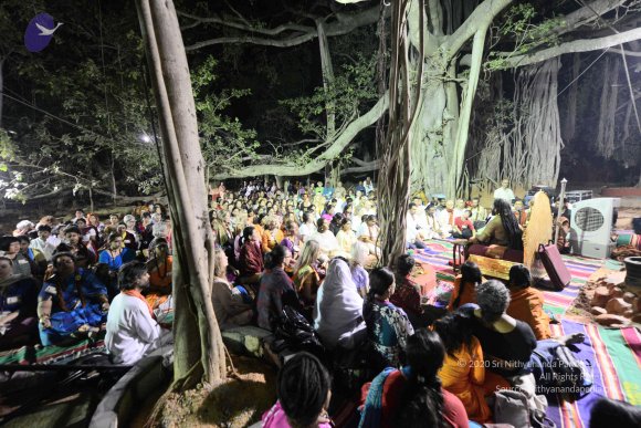 20161130_Photo_1001_DSC_0451_CMP_WM