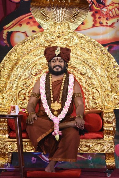 20161110_Photo_1001_DSC_4805_CMP_WM