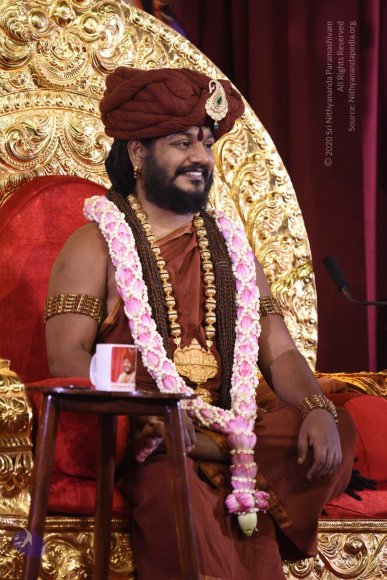 20161110_Photo_1007_DSC_4864_CMP_WM