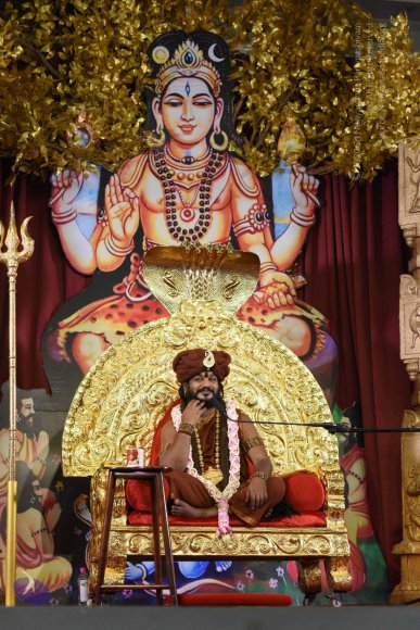 20161110_Photo_1029_DSC_5033_CMP_WM