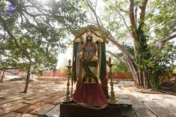 02-Construction_Photo_1002_DSC_8342_CMP_WM