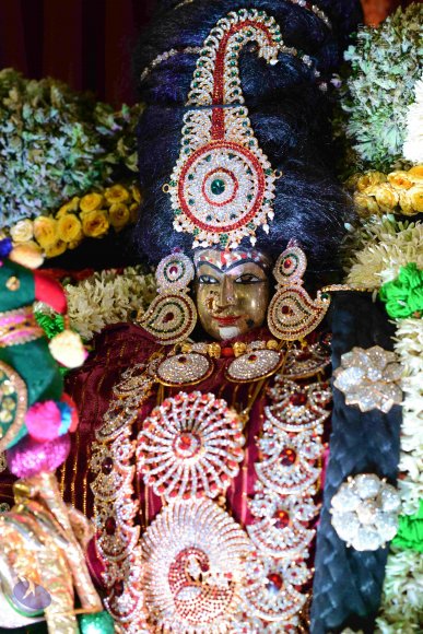 20161006_Photo_1011_DSC_0400_CMP_WM