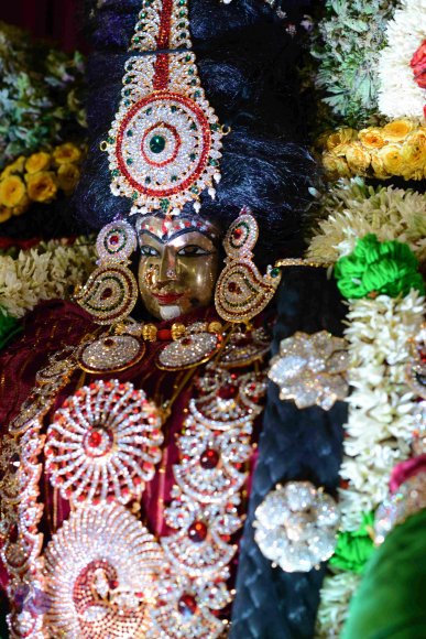 20161006_Photo_1019_DSC_0398_CMP_WM