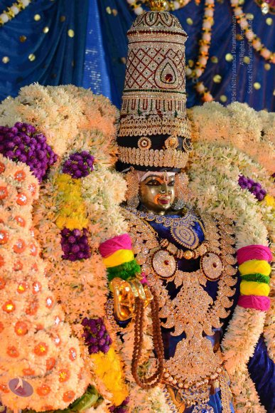 20161006_Photo_1022_DSC_0403_CMP_WM