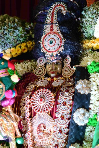 20161006_Photo_1027_DSC_0399_CMP_WM