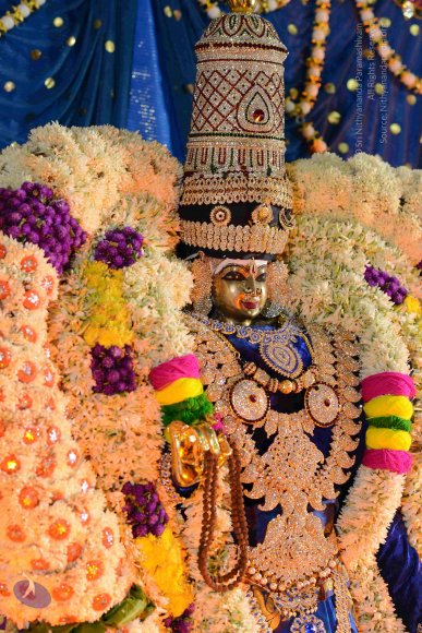 20161006_Photo_1031_DSC_0404_CMP_WM