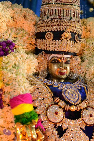 20161006_Photo_1032_DSC_0401_CMP_WM