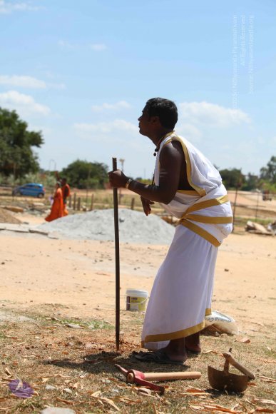 20161006_Photo_1035_IMG_8289_CMP_WM