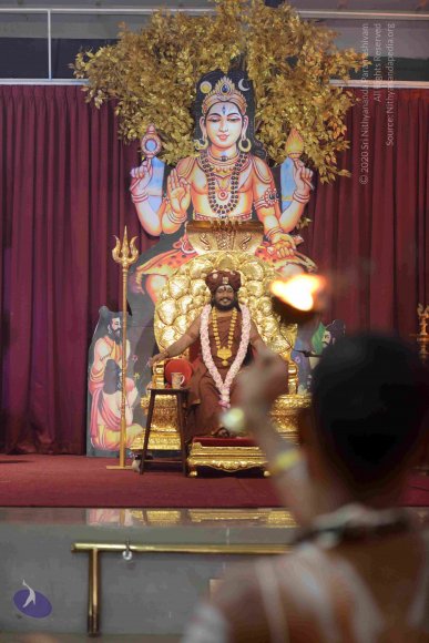 20161004_Photo_1001_DSC_8836_CMP_WM