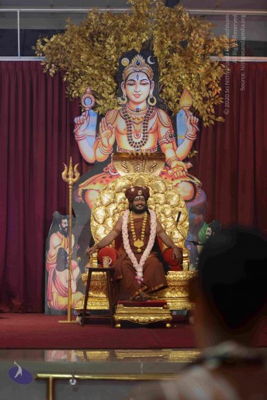 20161004_Photo_1002_DSC_8837_CMP_WM