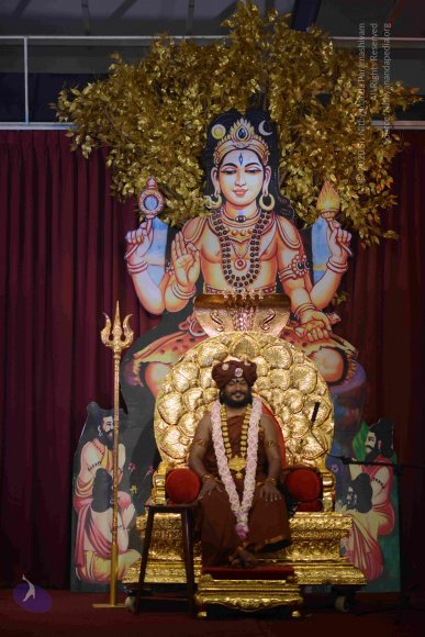 20161004_Photo_1043_DSC_8904_CMP_WM