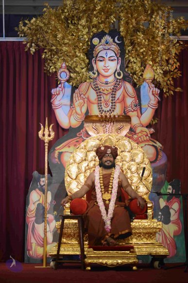 20161004_Photo_1044_DSC_8905_CMP_WM