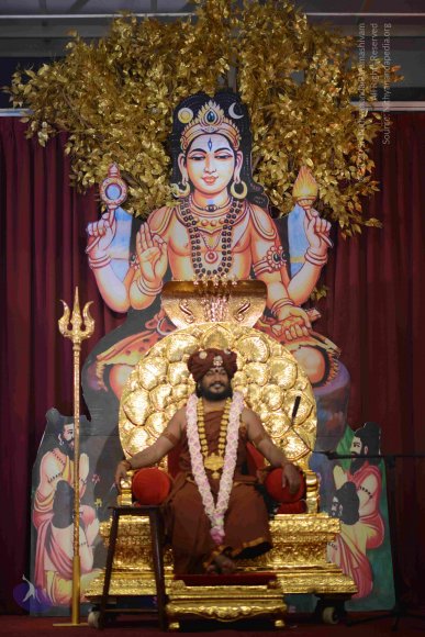 20161004_Photo_1046_DSC_8907_CMP_WM