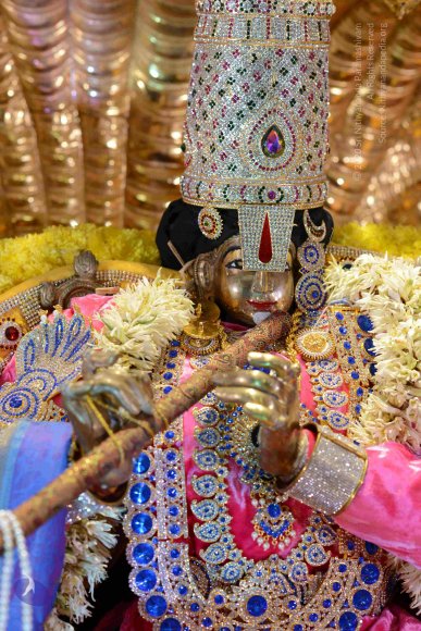 20161004_Photo_1004_DSC_9357_CMP_WM