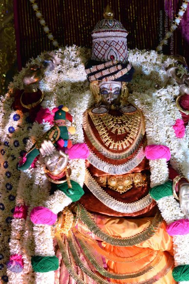 20161004_Photo_1007_DSC_9360_CMP_WM